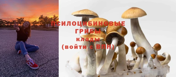 mdma Шали