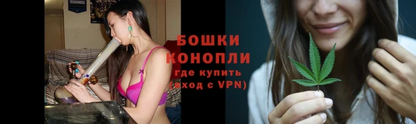 сатива Шадринск