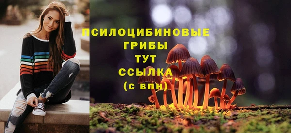 дмт Шарыпово