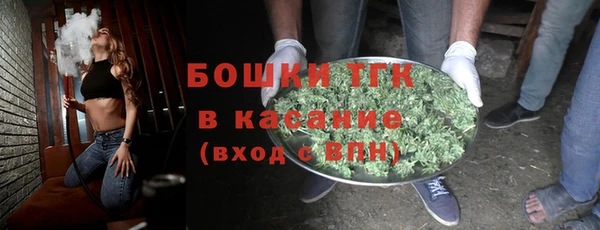 сатива Шадринск