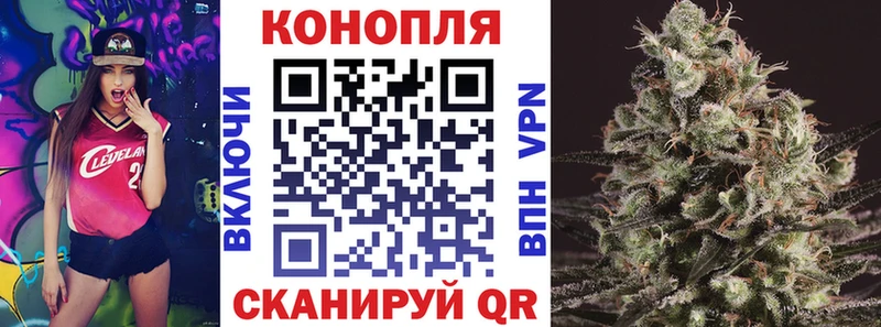 Конопля Ganja  как найти   Разумное 